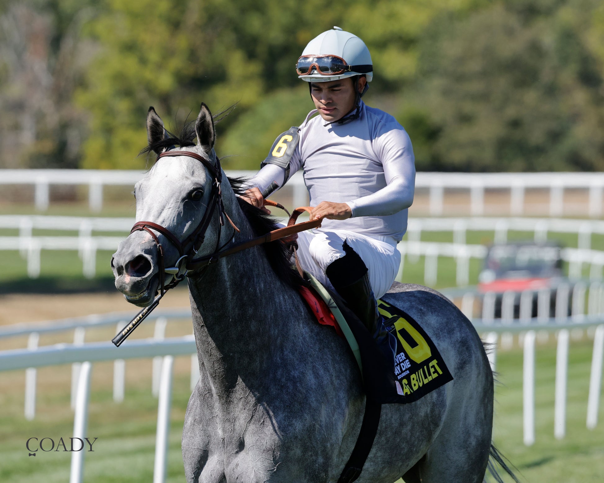 AG BULLET - Never Say Die Ladies Turf Sprint Stakes - G2 - 08-30-25 - R08 - KD - Come Back 01 - Coady Media - Kurtis Coady Photography
