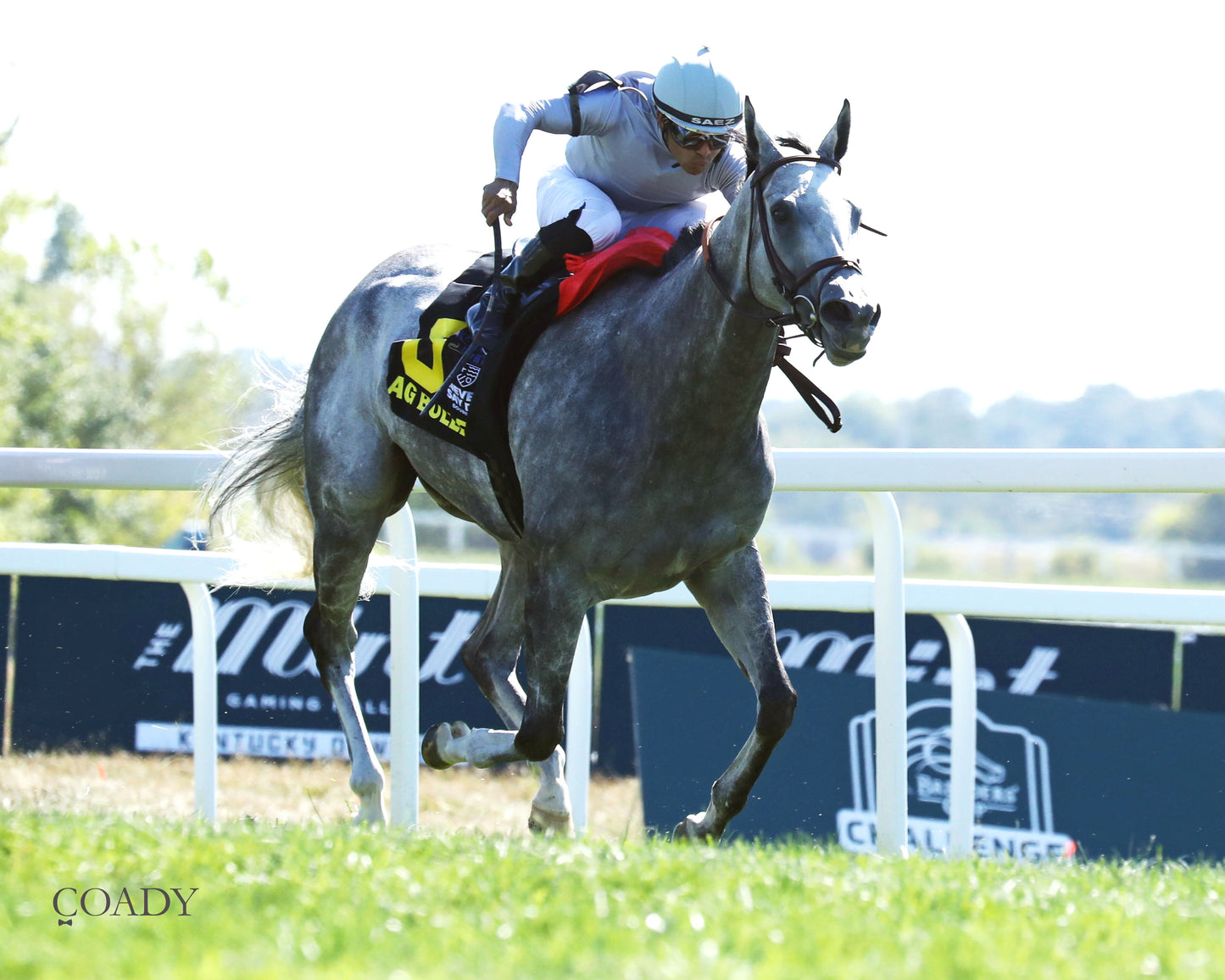 AG BULLET - Never Say Die Ladies Turf Sprint Stakes - G2 - 08-30-25 - R08 - KD - Finish 02 - Coady Media - Kurtis Coady Photography