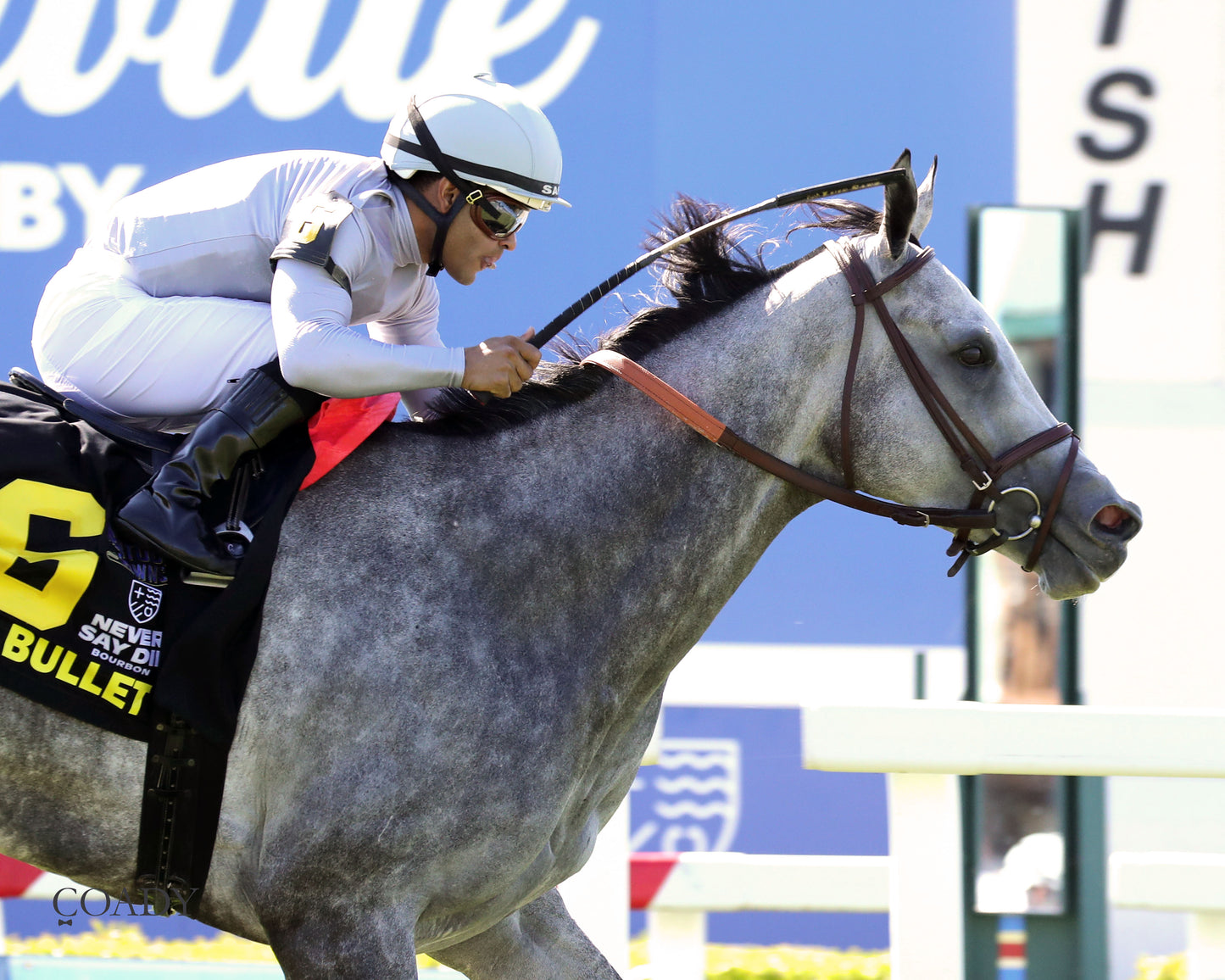 AG BULLET - Never Say Die Ladies Turf Sprint Stakes - G2 - 08-30-25 - R08 - KD - Finish 04 - Coady Media - Kurtis Coady Photography