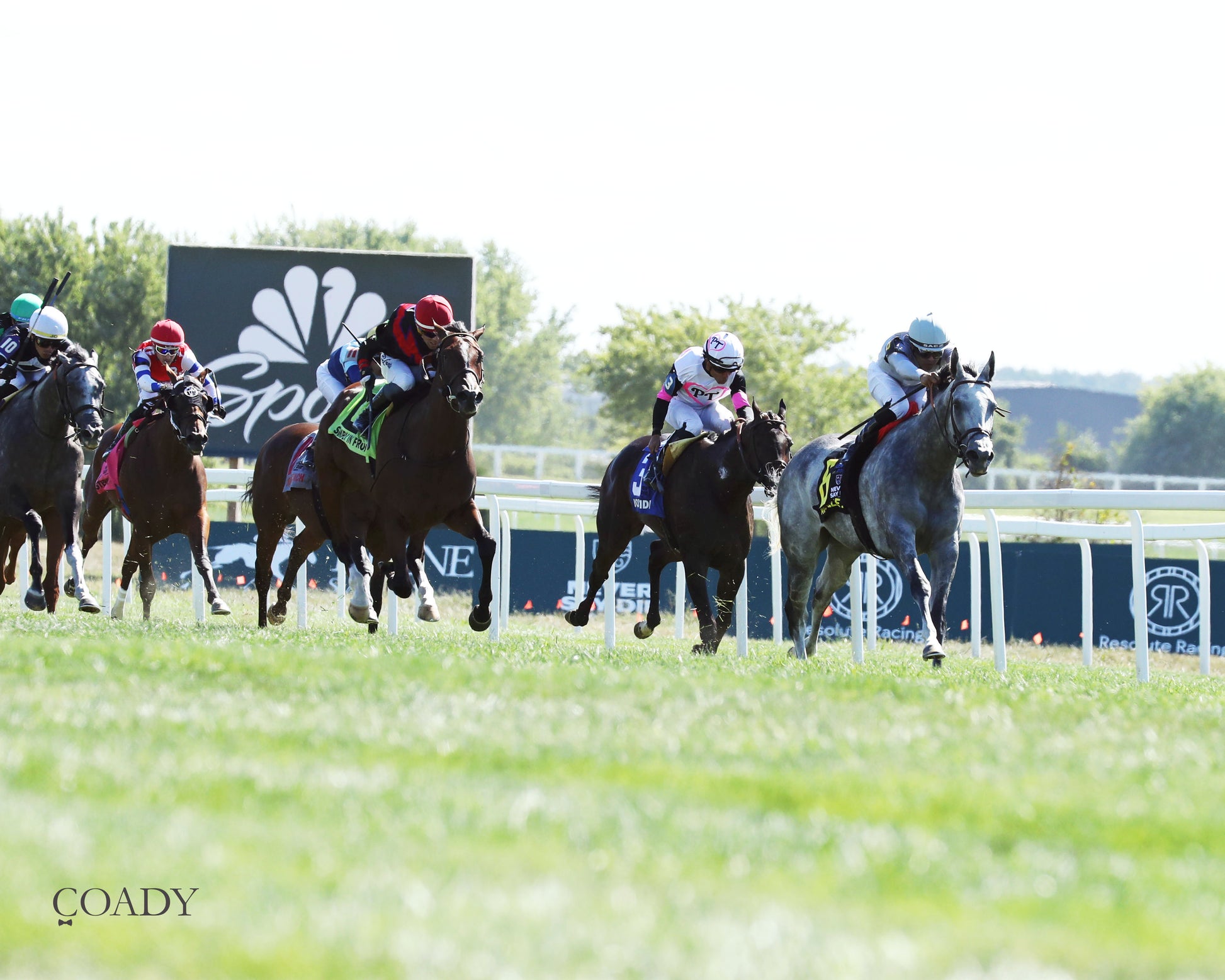AG BULLET - Never Say Die Ladies Turf Sprint Stakes - G2 - 08-30-25 - R08 - KD - Finish 05 - Coady Media - Kurtis Coady Photography