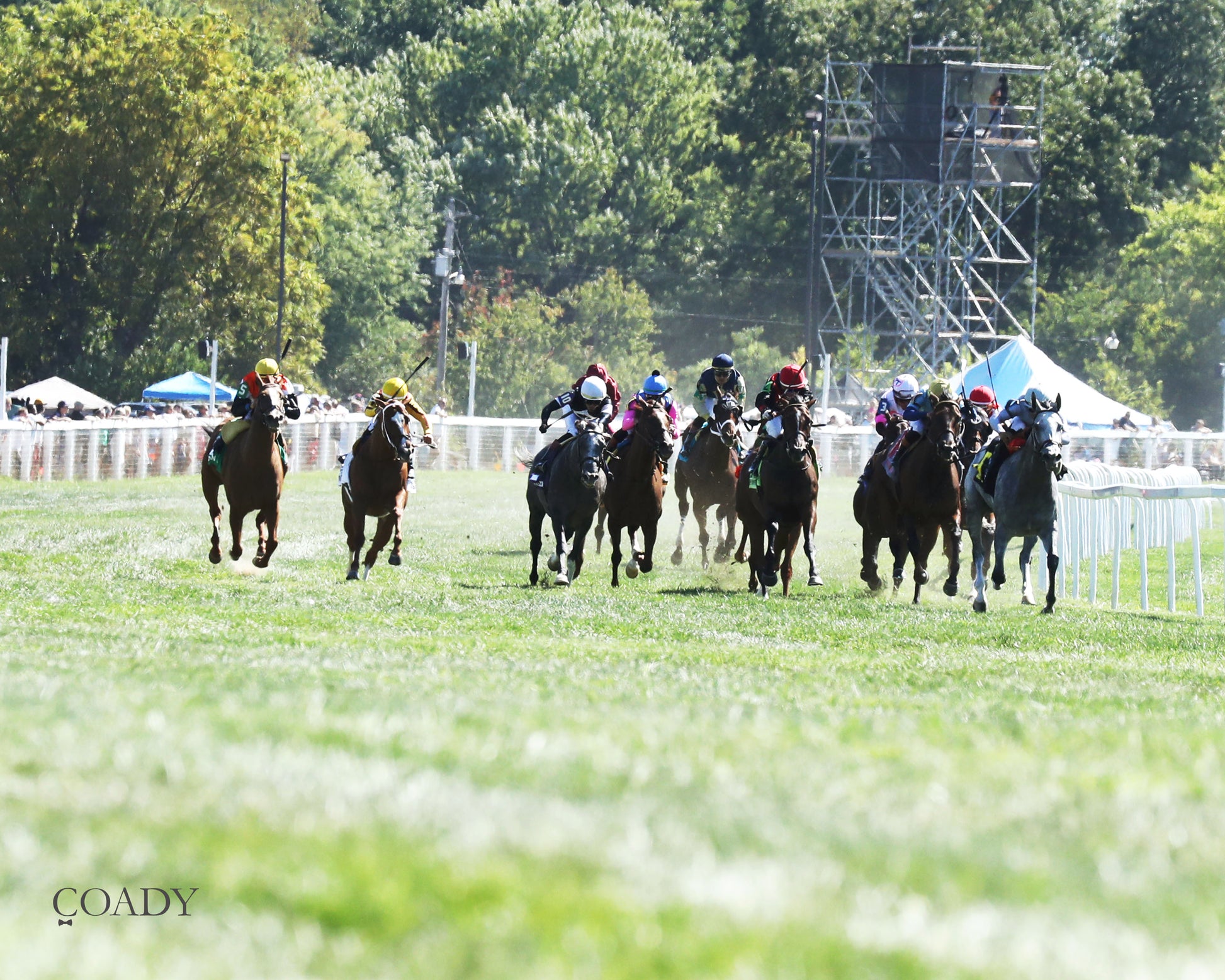 AG BULLET - Never Say Die Ladies Turf Sprint Stakes - G2 - 08-30-25 - R08 - KD - Head On 01 - Coady Media - Kurtis Coady Photography