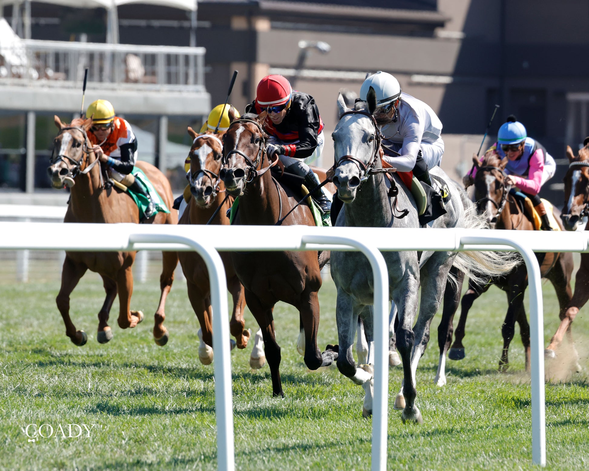 AG BULLET - Never Say Die Ladies Turf Sprint Stakes - G2 - 08-30-25 - R08 - KD - Inside Finish 01 - Coady Media - Kurtis Coady Photography