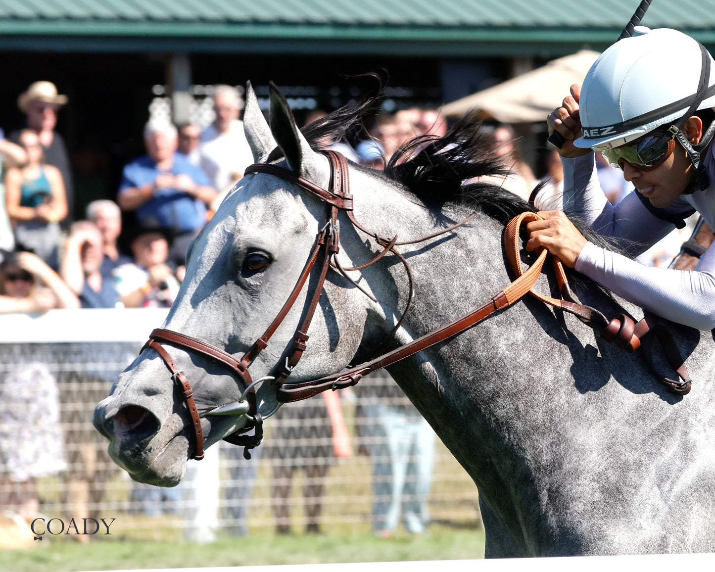 AG BULLET - Never Say Die Ladies Turf Sprint Stakes - G2 - 08-30-25 - R08 - KD - Inside Finish 03 - Coady Media - Kurtis Coady Photography