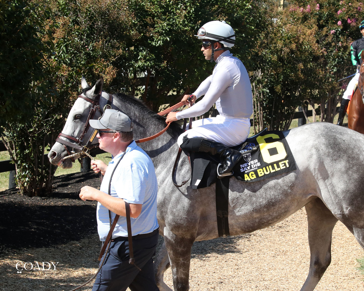 AG BULLET - Never Say Die Ladies Turf Sprint Stakes - G2 - 08-30-25 - R08 - KD - Paddock 01 - Coady Media - Kurtis Coady Photography