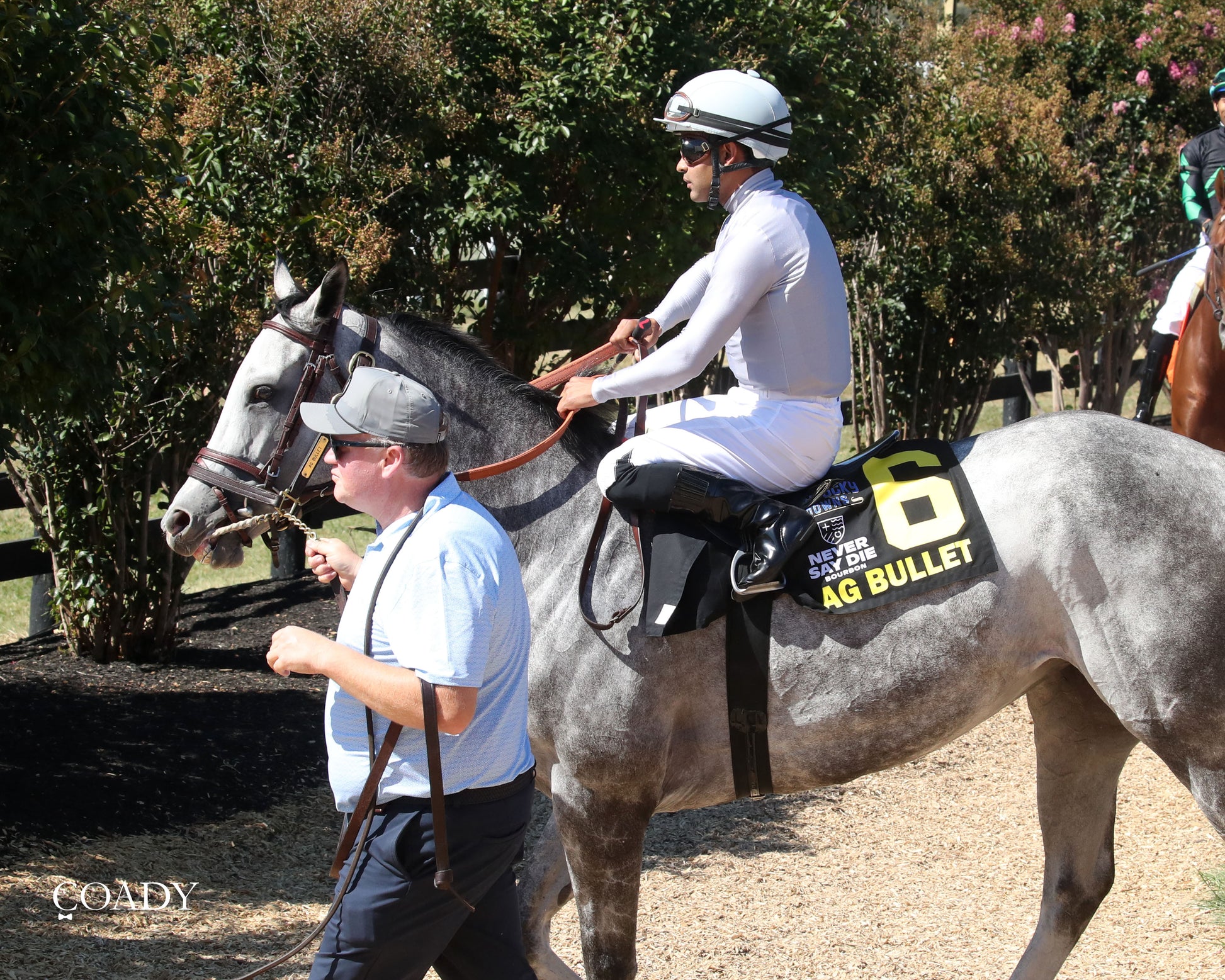 AG BULLET - Never Say Die Ladies Turf Sprint Stakes - G2 - 08-30-25 - R08 - KD - Paddock 01 - Coady Media - Kurtis Coady Photography