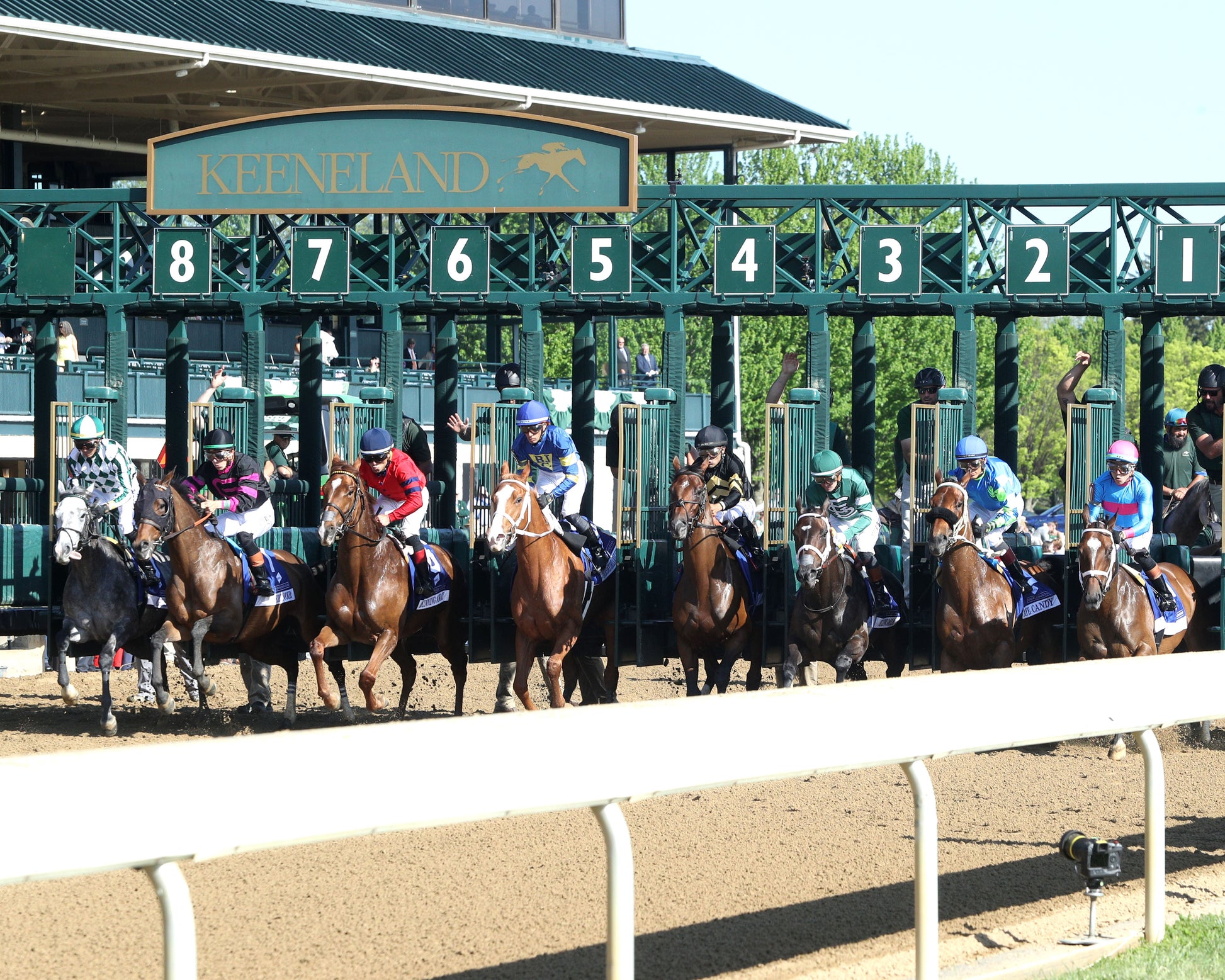 ALPINE PRINCESS - 041726 - Race 09 - KEE - Start 01 - Coady Media - Kurtis Coady Photography