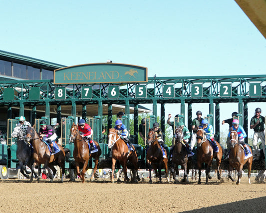 ALPINE PRINCESS - 041726 - Race 09 - KEE - Start 02 - Coady Media - Kurtis Coady Photography