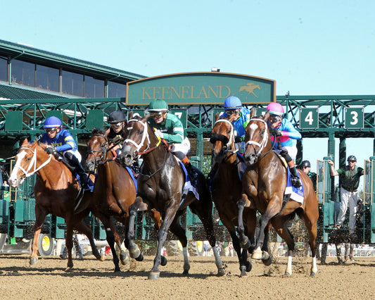 ALPINE PRINCESS - 041726 - Race 09 - KEE - Start 03 - Coady Media - Kurtis Coady Photography