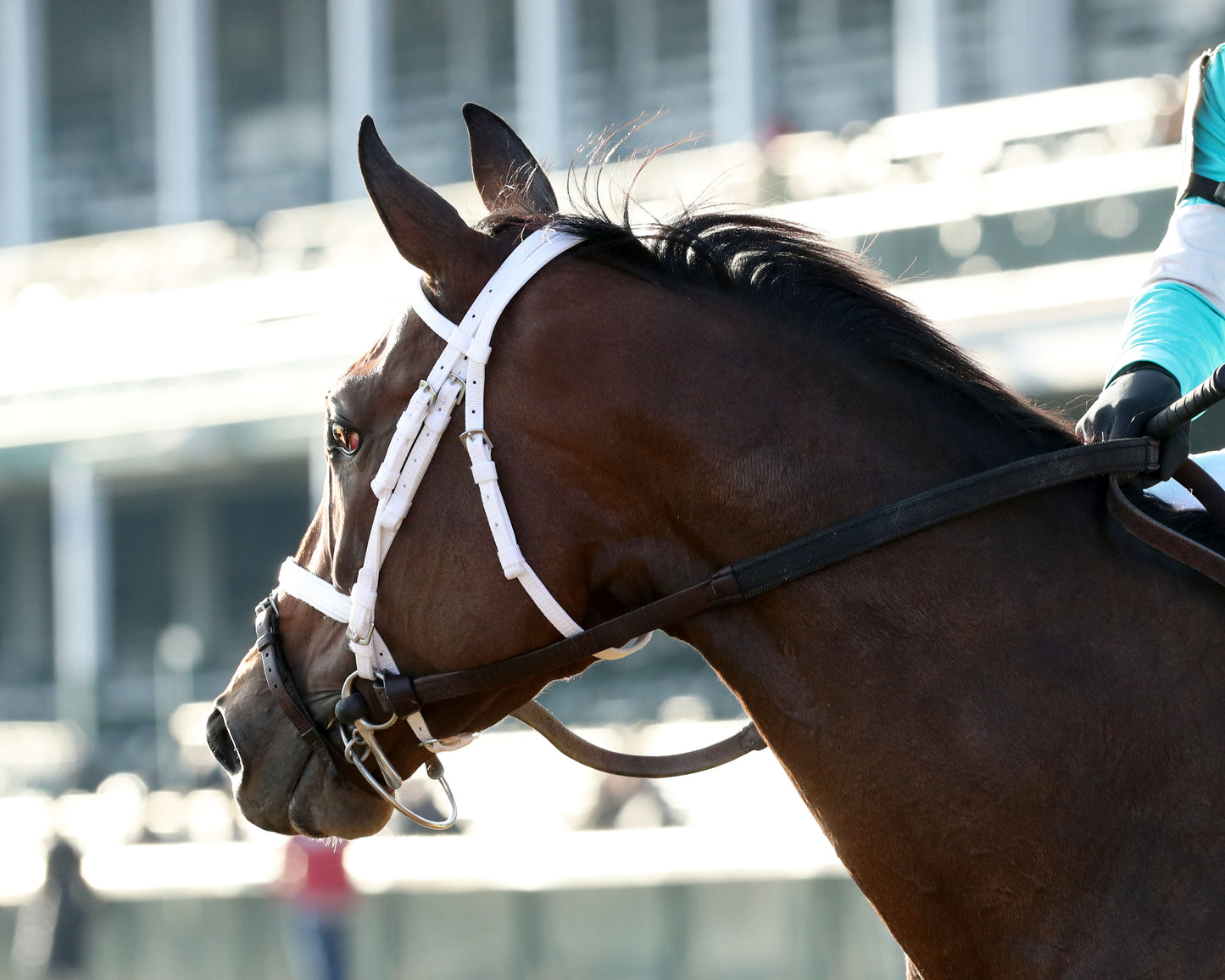 ALPINE PRINCESS - The Falls City G3 - 11-27-25 - R10 - CD - Come Back 02