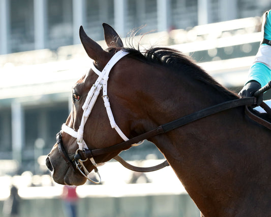 ALPINE PRINCESS - The Falls City G3 - 11-27-25 - R10 - CD - Come Back 02