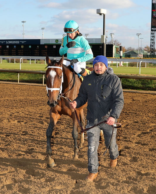 ALPINE PRINCESS - The Falls City G3 - 11-27-25 - R10 - CD - Walk In 01