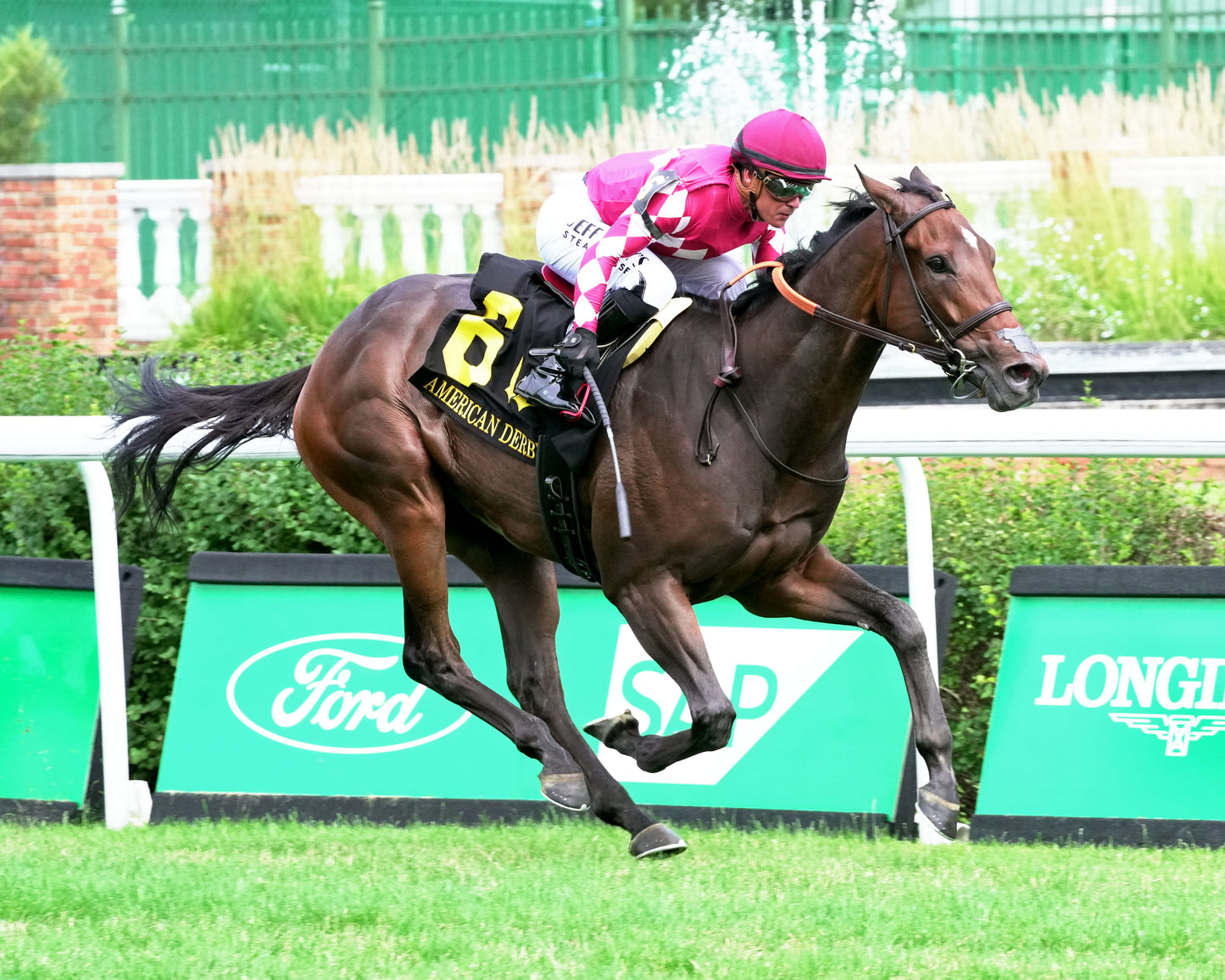 ALPYLAND - 062726 - Race 08 - CD - Finish 02