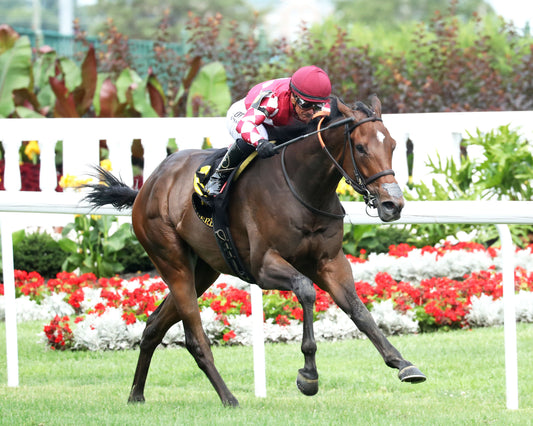 ALPYLAND - The American Derby - 062726 - Race 08 - CD - Finish 02