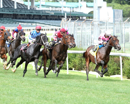 ALPYLAND - The American Derby - 062726 - Race 08 - CD - First Pass 01