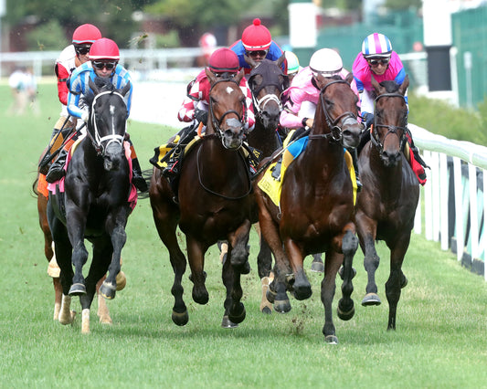 ALPYLAND - The American Derby - 062726 - Race 08 - CD - First Turn 02