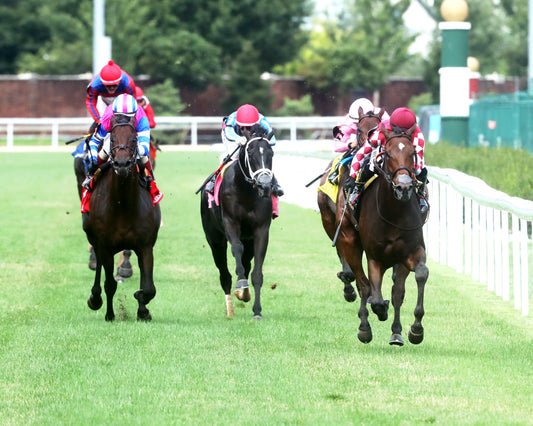 ALPYLAND - The American Derby - 062726 - Race 08 - CD - Head On 01