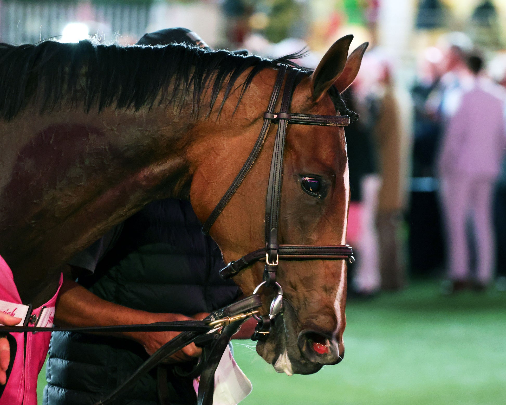 ALWAYS A RUNNER - 050126 - Race 13 - CD  The Longines Kentucky Oaks G1 - 152nd Running - Come Back 04 - Coady Media - Kurtis Coady Photography