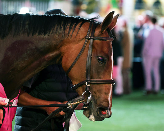 ALWAYS A RUNNER - 050126 - Race 13 - CD  The Longines Kentucky Oaks G1 - 152nd Running - Come Back 04 - Coady Media - Kurtis Coady Photography