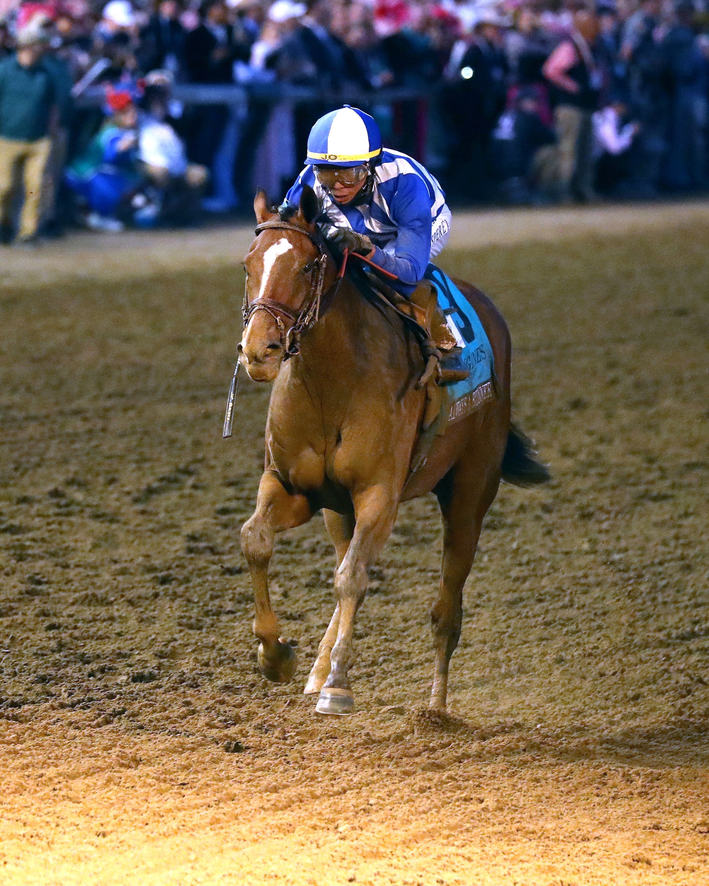 ALWAYS A RUNNER - 050126 - Race 13 - CD  The Longines Kentucky Oaks G1 - 152nd Running - Finish 10 - Coady Media - Kurtis Coady Photography