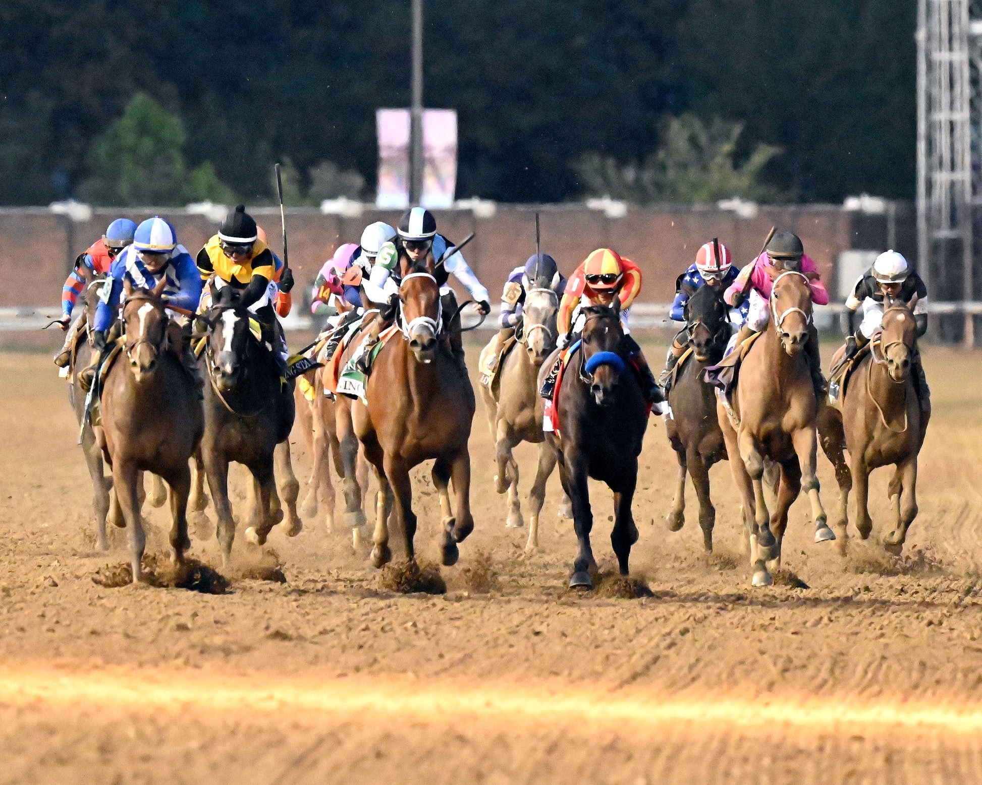 ALWAYS A RUNNER - 050126 - Race 13 - CD  The Longines Kentucky Oaks G1 - 152nd Running - Head on 02 - Coady Media - Kurtis Coady Photography