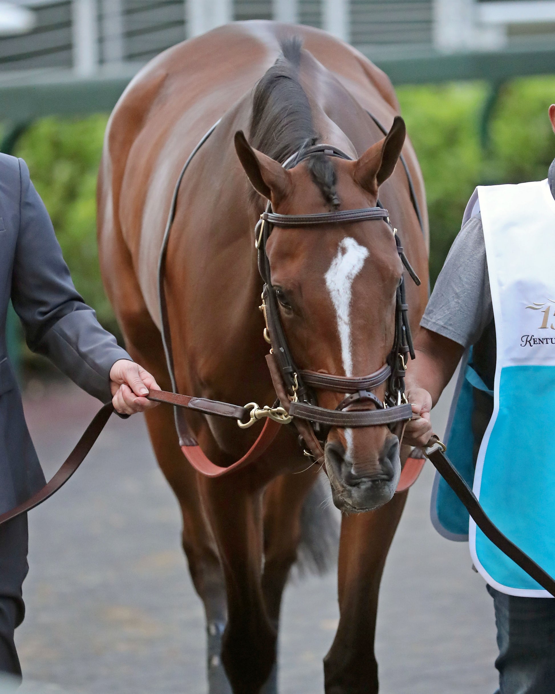 ALWAYS A RUNNER - 050126 - Race 13 - CD  The Longines Kentucky Oaks G1 - 152nd Running -Paddock 02 - Coady Media - Kurtis Coady Photography