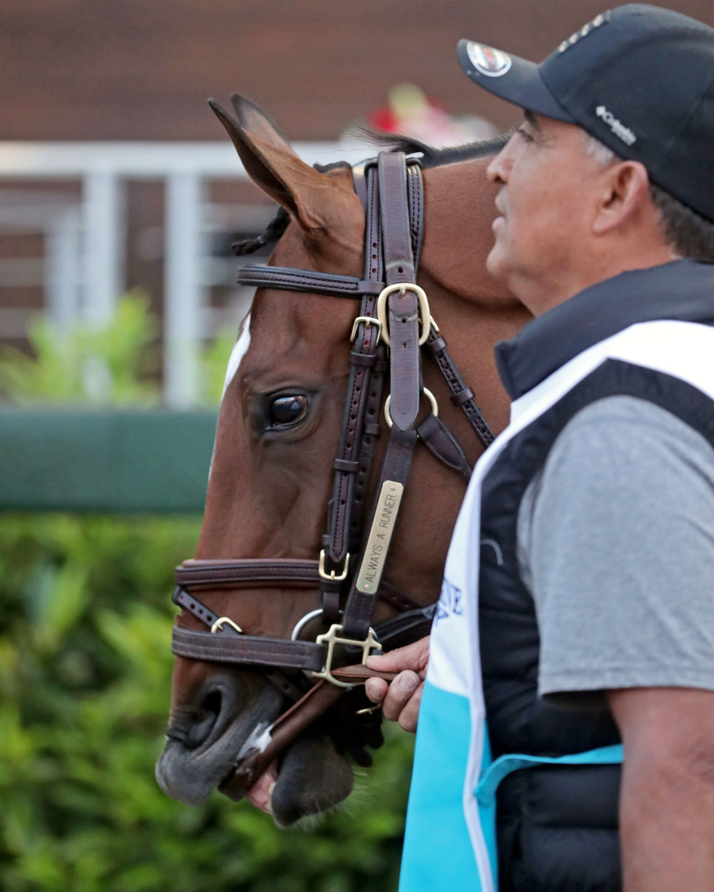 ALWAYS A RUNNER - 050126 - Race 13 - CD  The Longines Kentucky Oaks G1 - 152nd Running - Paddock 03 - Coady Media - Kurtis Coady Photography