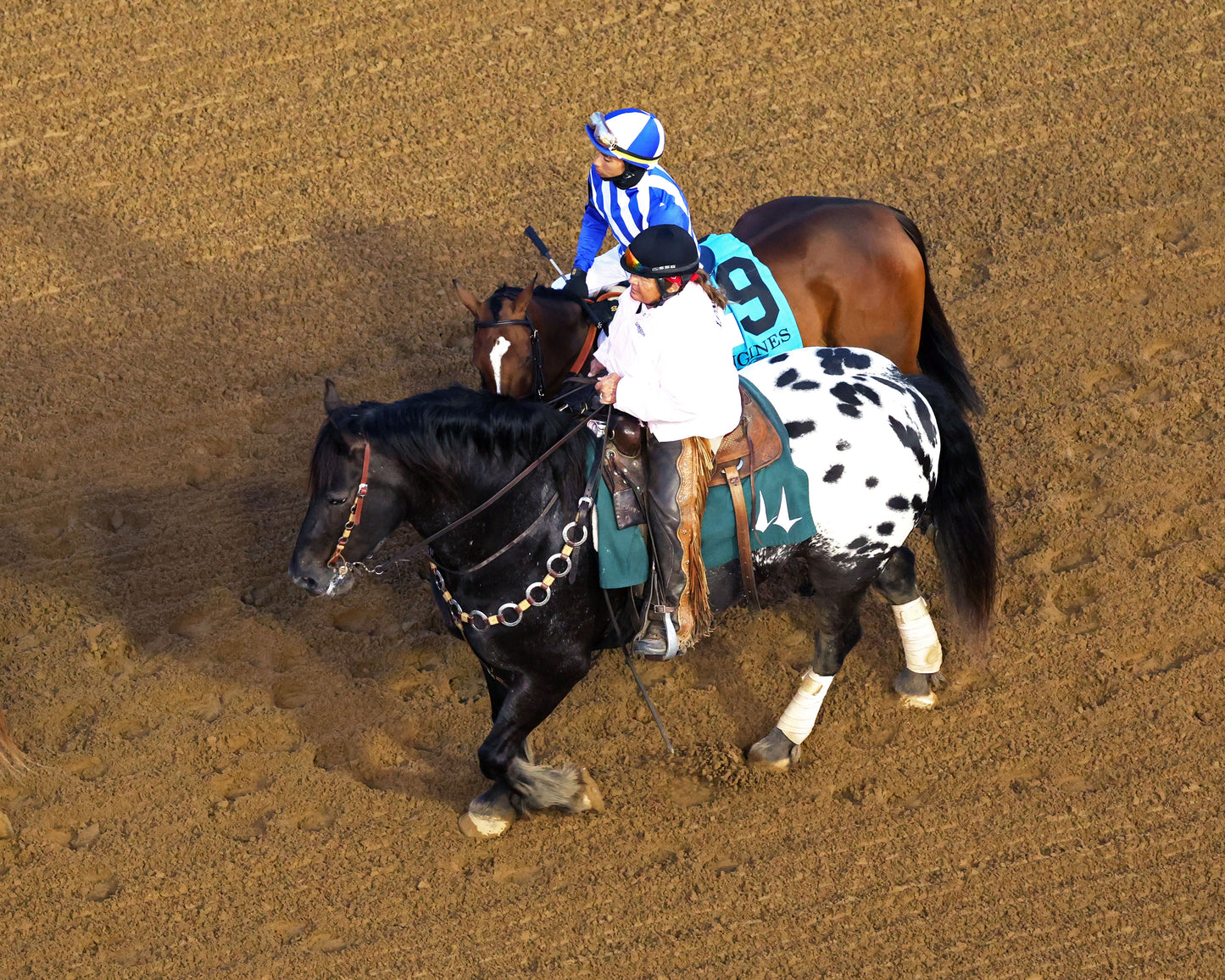 ALWAYS A RUNNER - 050126 - Race 13 - CD  The Longines Kentucky Oaks G1 - 152nd Running - Post Parade 13 - Coady Media - Kurtis Coady Photography