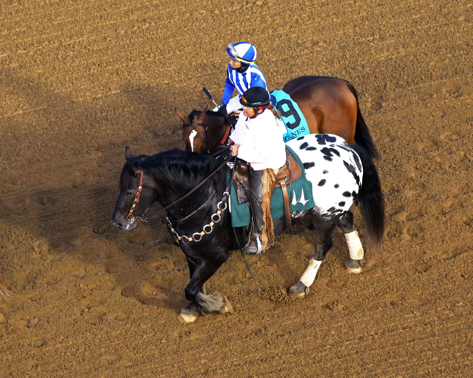 ALWAYS A RUNNER - 050126 - Race 13 - CD  The Longines Kentucky Oaks G1 - 152nd Running - Post Parade 13 - Coady Media - Kurtis Coady Photography