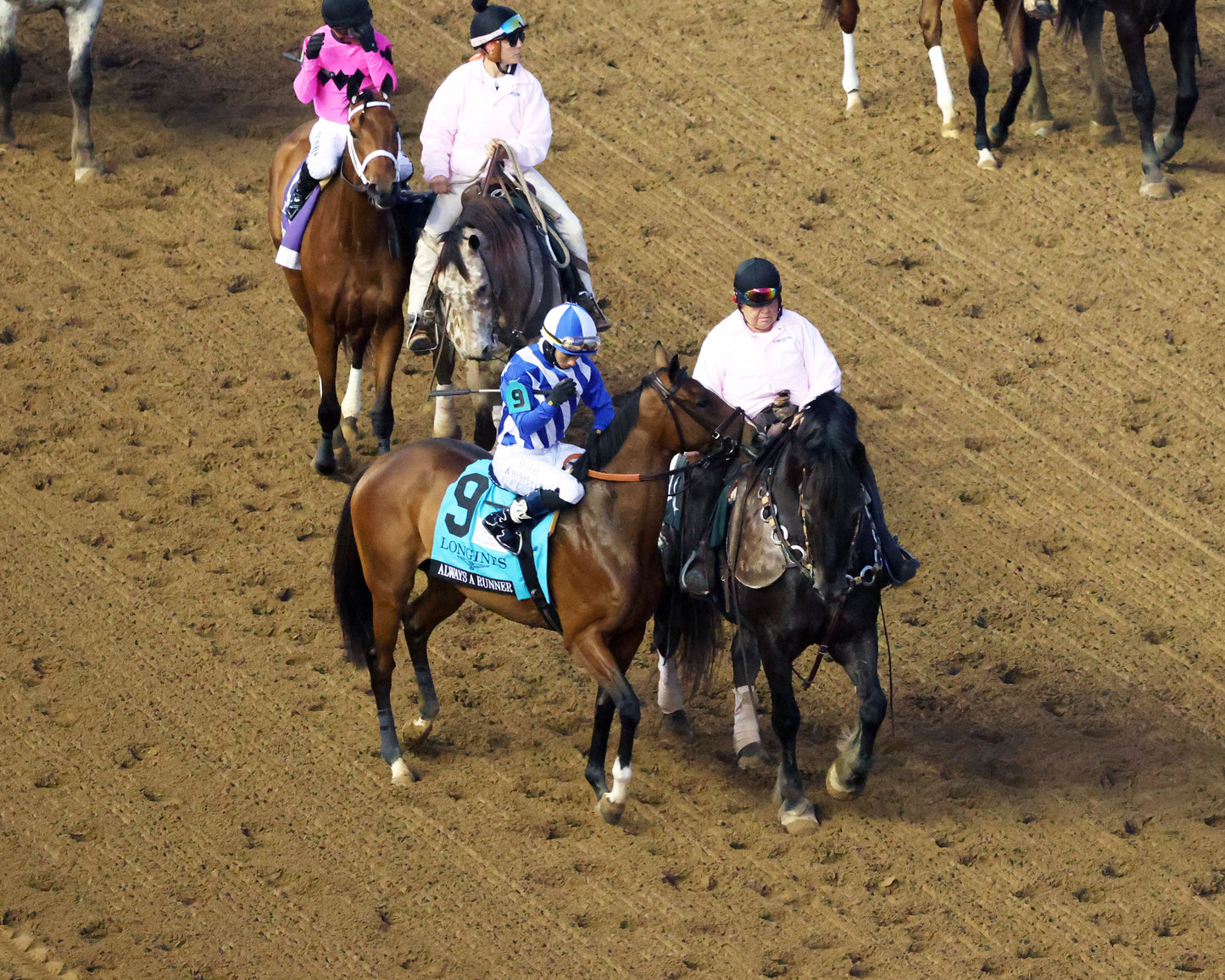 ALWAYS A RUNNER - 050126 - Race 13 - CD  The Longines Kentucky Oaks G1 - 152nd Running - Post Parade 14 - Coady Media - Kurtis Coady Photography