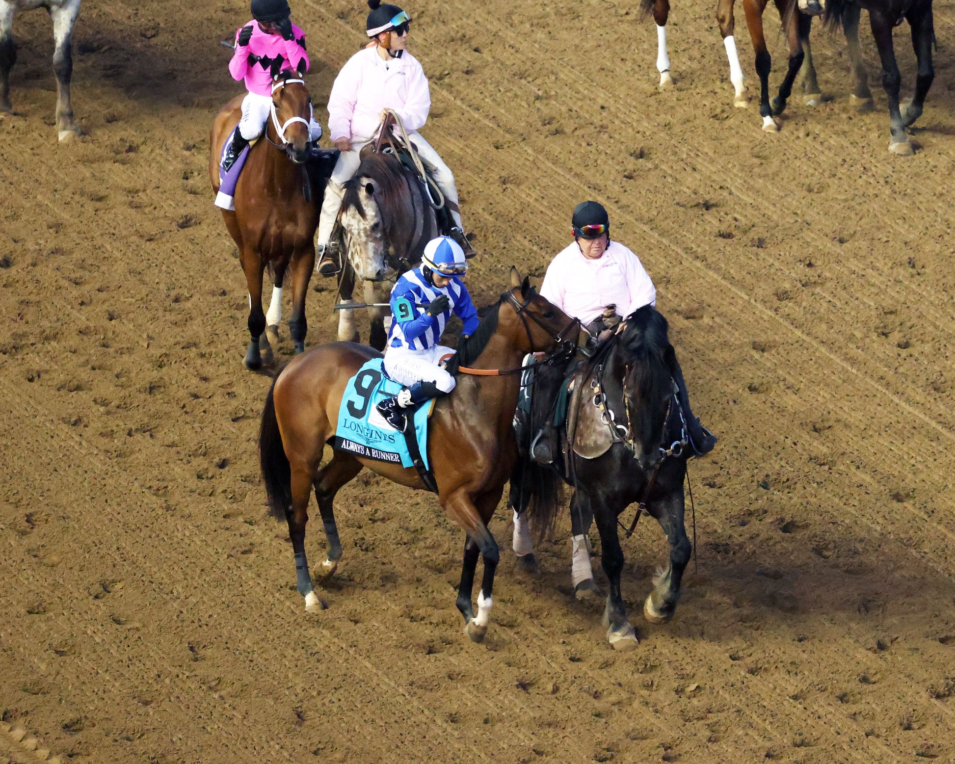 ALWAYS A RUNNER - 050126 - Race 13 - CD  The Longines Kentucky Oaks G1 - 152nd Running - Post Parade 14 - Coady Media - Kurtis Coady Photography