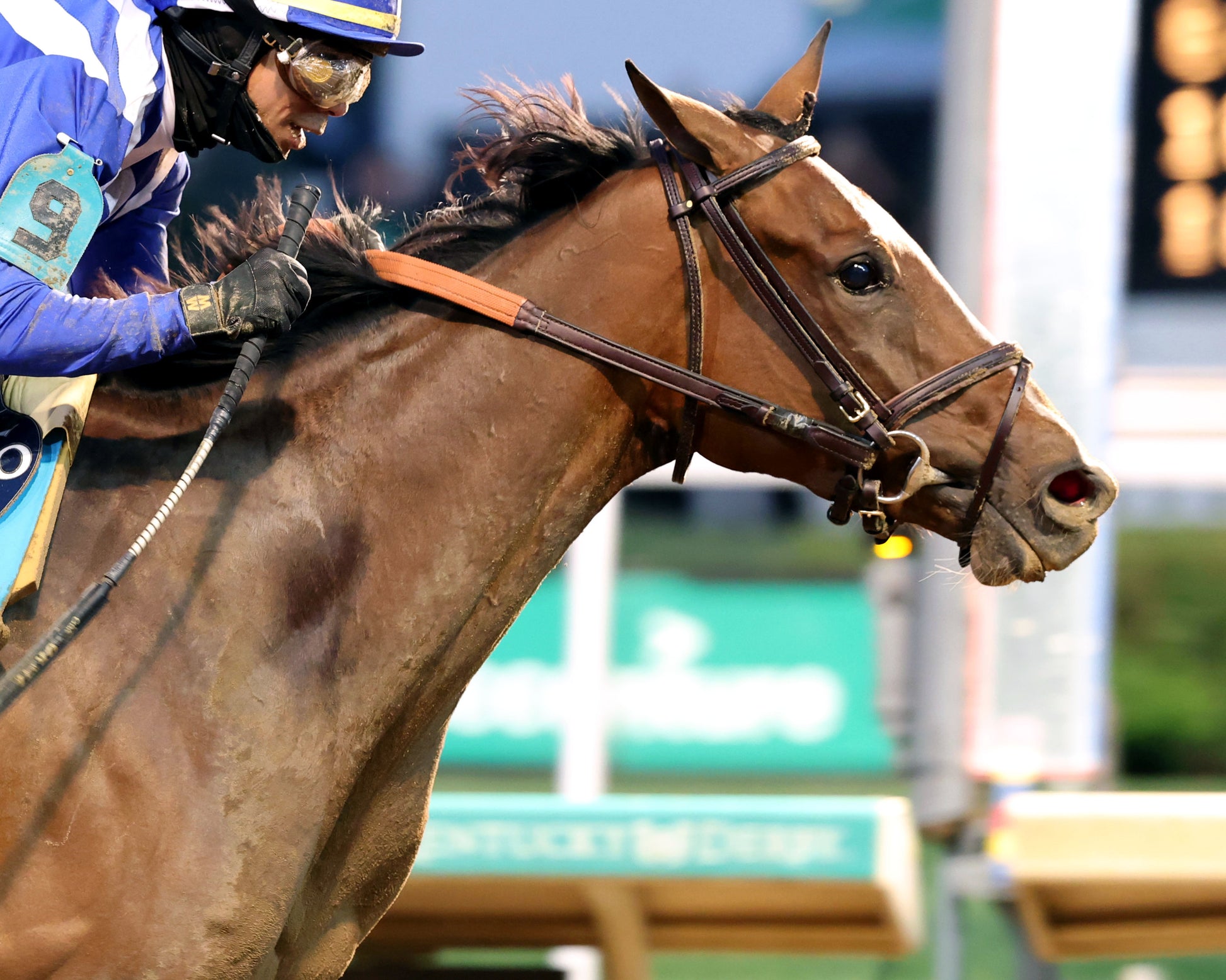 ALWAYS A RUNNER - 050126 - Race 13 - CD  The Longines Kentucky Oaks G1 - 152nd Running - Tight Finish 01 - Coady Media - Kurtis Coady Photography