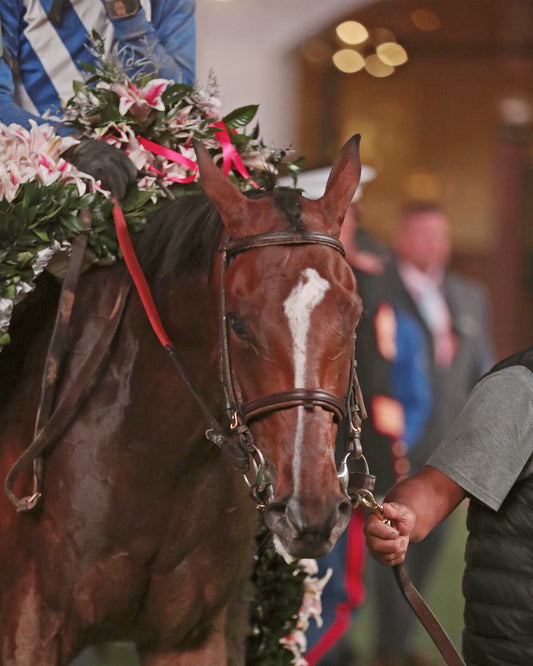 ALWAYS A RUNNER - 050126 - Race 13 - CD  The Longines Kentucky Oaks G1 - 152nd Running - Winners Circle 03 - Coady Media - Kurtis Coady Photography