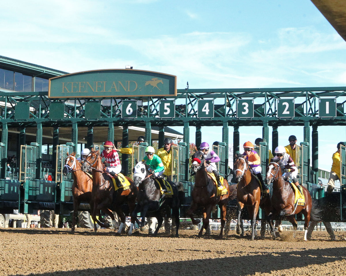 AMERICAN HISTORY - The Claiborne Breeders' Futurity G1 - 10-03-26 - R09 - KEE - Start 01