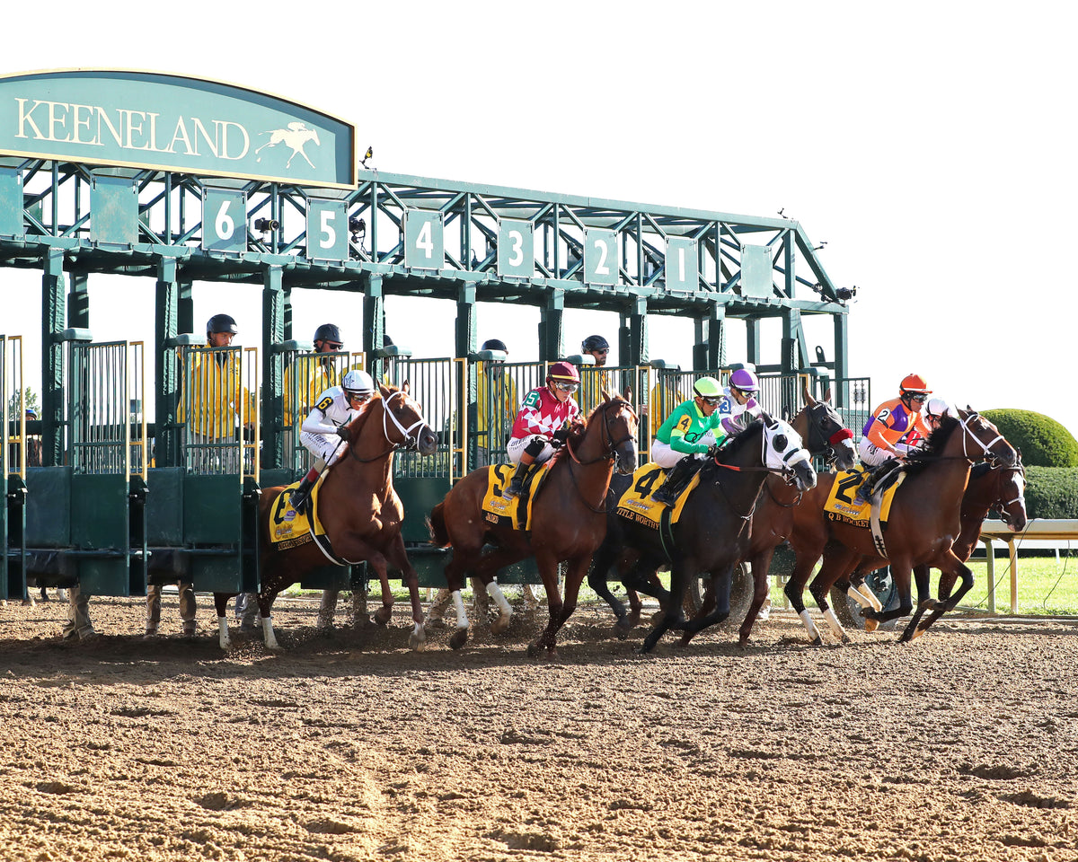 AMERICAN HISTORY - The Claiborne Breeders' Futurity G1 - 10-03-26 - R09 - KEE - Start 04