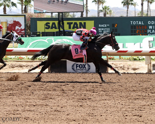 ANNES DYNASTY - AQRA Open President's Spring Futurity - 05-02-26 - R02 - TUP - Finish - Coady Media - Kurtis Coady Photography