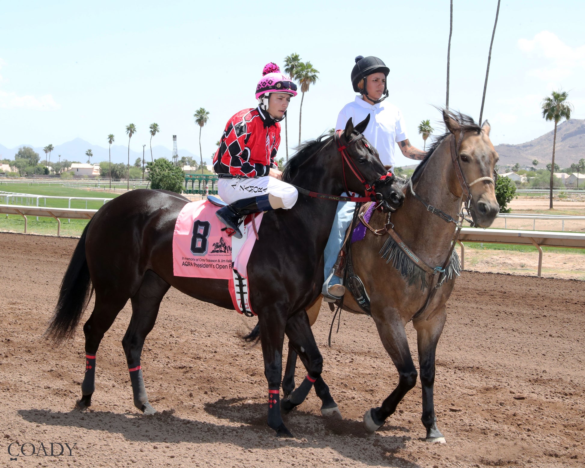 ANNES DYNASTY - AQRA Open President's Spring Futurity - 05-02-26 - R02 - TUP - Post Parade - Coady Media - Kurtis Coady Photography