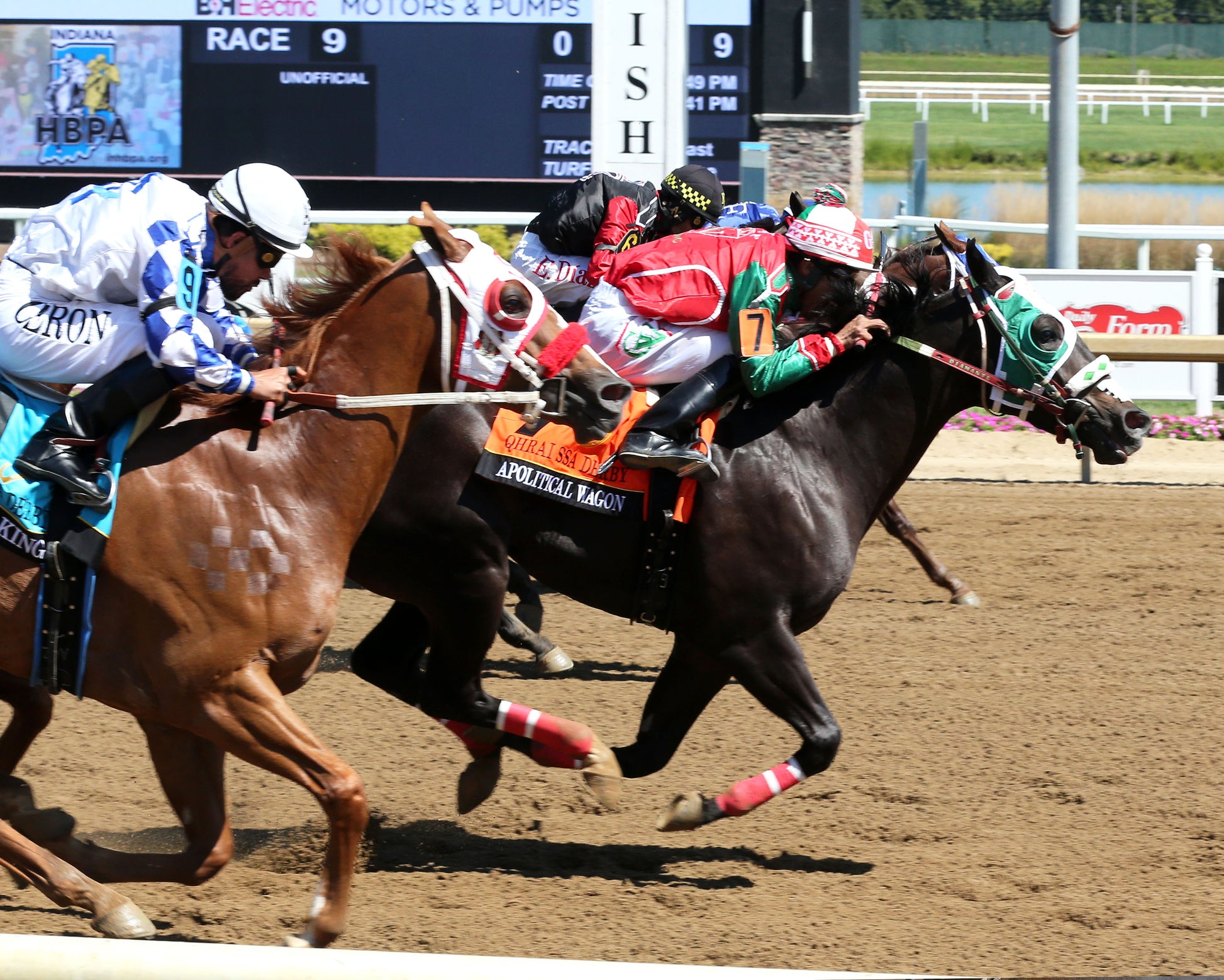 APOLITICAL WAGON - QHRAI Stallion Service Auction Derby Finals - 08-30-25 - R09 - Horseshoe Indiana - Finish 01 - Sammantha Pagels - Coady Media - Kurtis Coady Photography