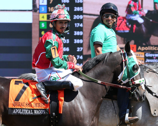 APOLITICAL WAGON - QHRAI Stallion Service Auction Derby Finals - 08-30-25 - R09 - Horseshoe Indiana - Post Parade 01 - Sammantha Pagels - Coady Media - Kurtis Coady Photography