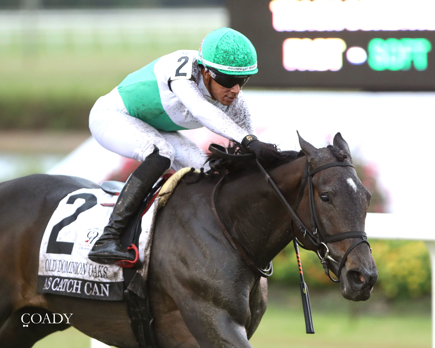 AS CATCH CAN - The Old Dominion Oaks - 09-06-25 - R09 - CNL - Close Finish 01 - Coady Media - Kurtis Coady Photography