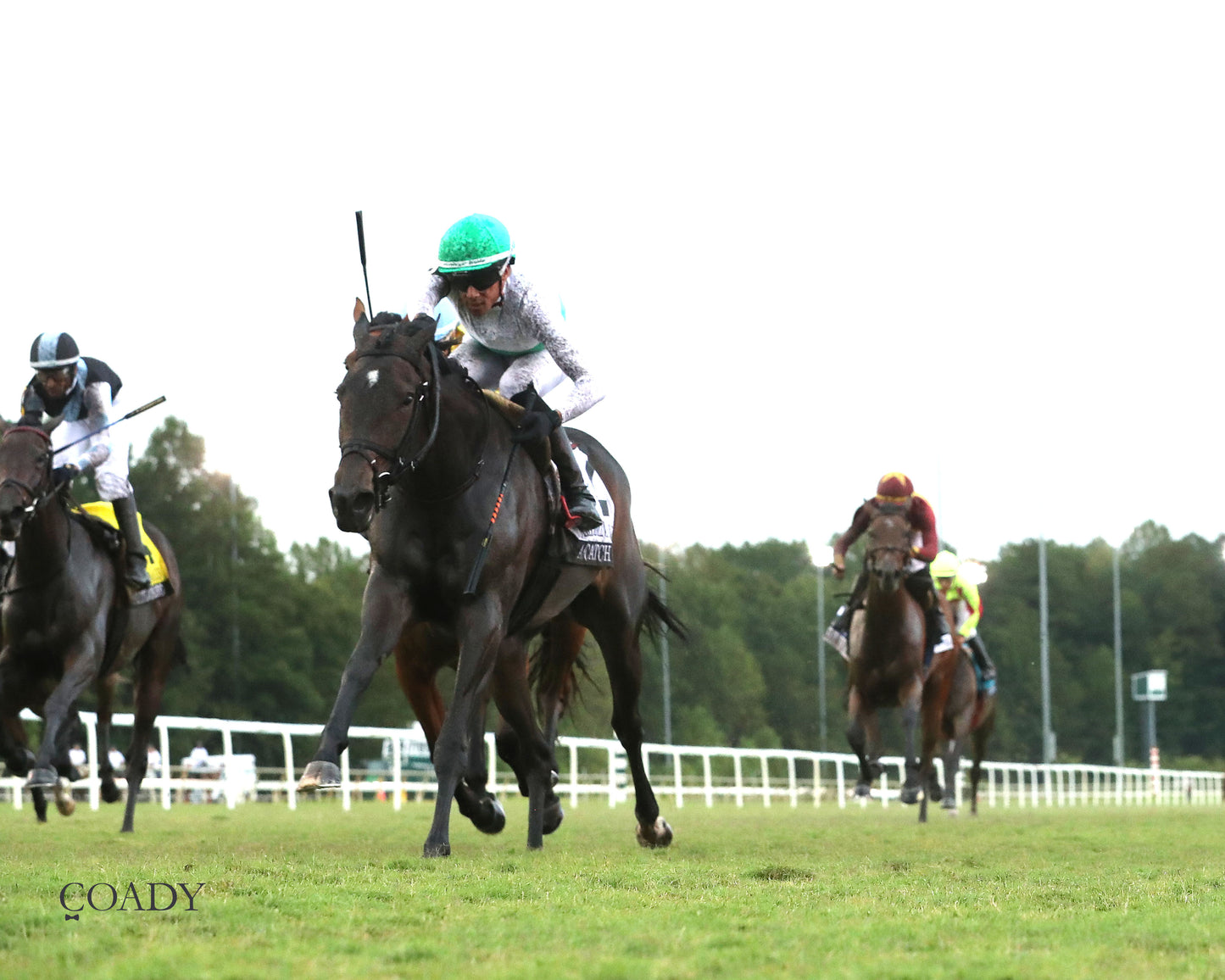 AS CATCH CAN - The Old Dominion Oaks - 09-06-25 - R09 - CNL - Under Rail Finish 01 - Coady Media - Kurtis Coady Photography