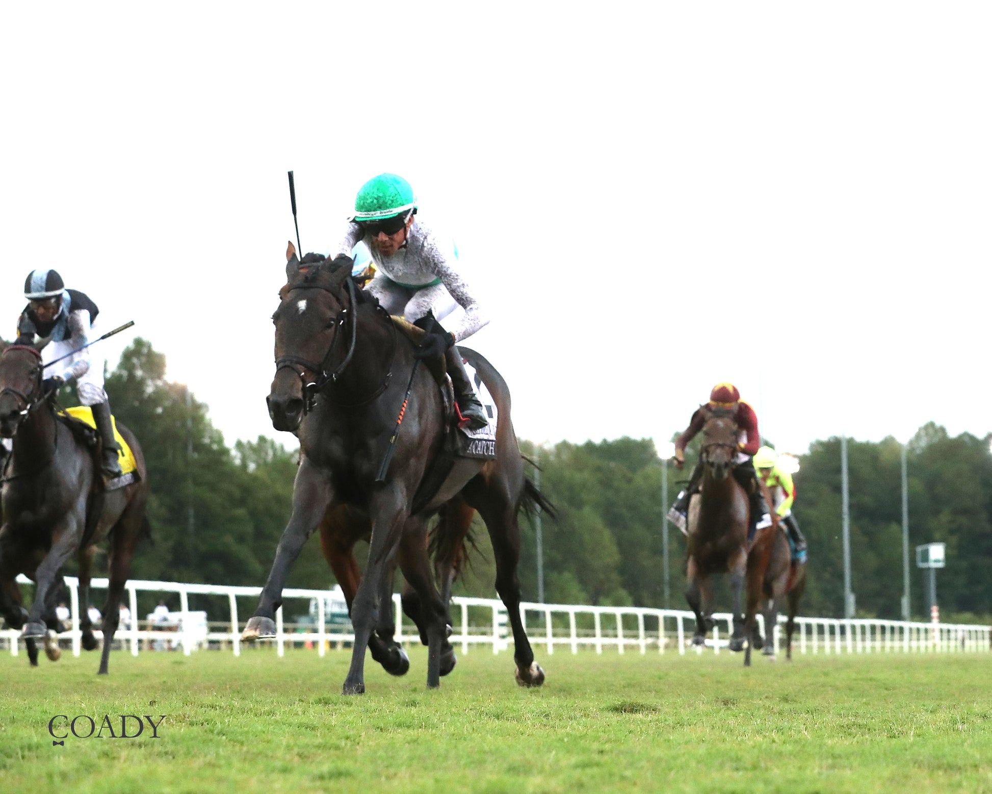 AS CATCH CAN - The Old Dominion Oaks - 09-06-25 - R09 - CNL - Under Rail Finish 01 - Coady Media - Kurtis Coady Photography
