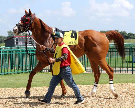 BANISHING - The Jeff Hall Memorial - 07-18-26 - R08 - ELP - Paddock 01
