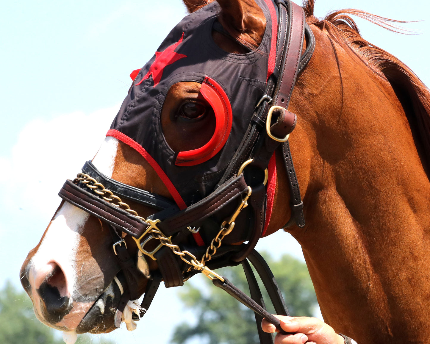 BANISHING - The Jeff Hall Memorial - 07-18-26 - R08 - ELP - Paddock 02