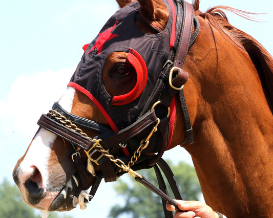 BANISHING - The Jeff Hall Memorial - 07-18-26 - R08 - ELP - Paddock 02