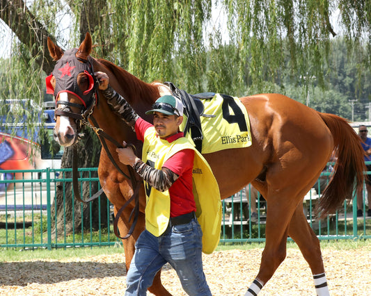 BANISHING - The Jeff Hall Memorial - 07-18-26 - R08 - ELP - Paddock 03