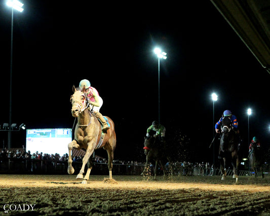 BARBADIAN RUNNER - 082225 - Race 09 - CT  The Robert Hilton Memorial - Under Rail 01 - Coady Media - Kurtis Coady Photography