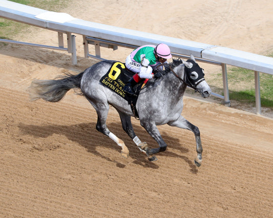 BATTEN DOWN - Pig Trail Overnight Stakes - 03-01-26 - R05 - OP - Aerial Finish 01 - Coady Media - Kurtis Coady Photography