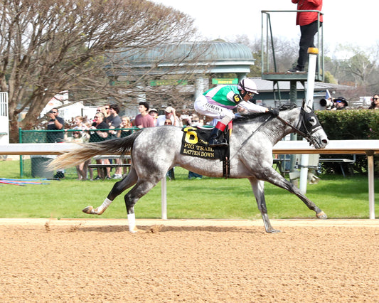 BATTEN DOWN - Pig Trail Overnight Stakes - 03-01-26 - R05 - OP - Finish 01 - Coady Media - Kurtis Coady Photography