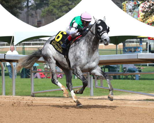 BATTEN DOWN - Pig Trail Overnight Stakes - 03-01-26 - R05 - OP - Finish 02 - Coady Media - Kurtis Coady Photography