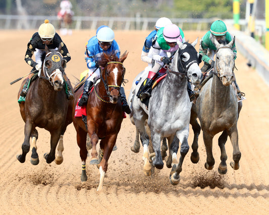 BATTEN DOWN - Pig Trail Overnight Stakes - 03-01-26 - R05 - OP - First Turn 01 - Coady Media - Kurtis Coady Photography